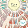 Cork City Centre Of The World Print - World Cities Toposcope