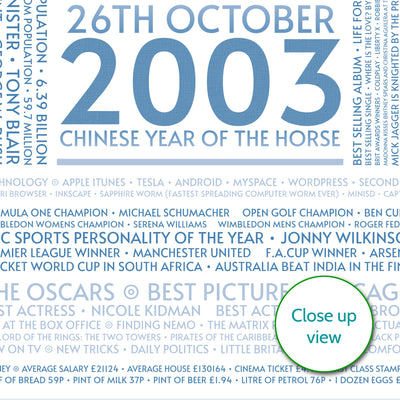 Personalised 2003 Facts Print UK