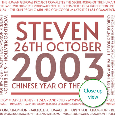 Personalised 2003 Facts Print UK