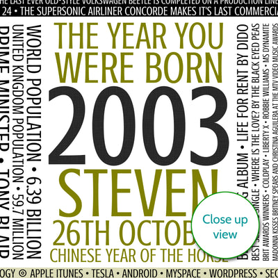 Personalised Born In 2003 Facts Print UK