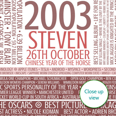 Personalised Born In 2003 Facts Print UK