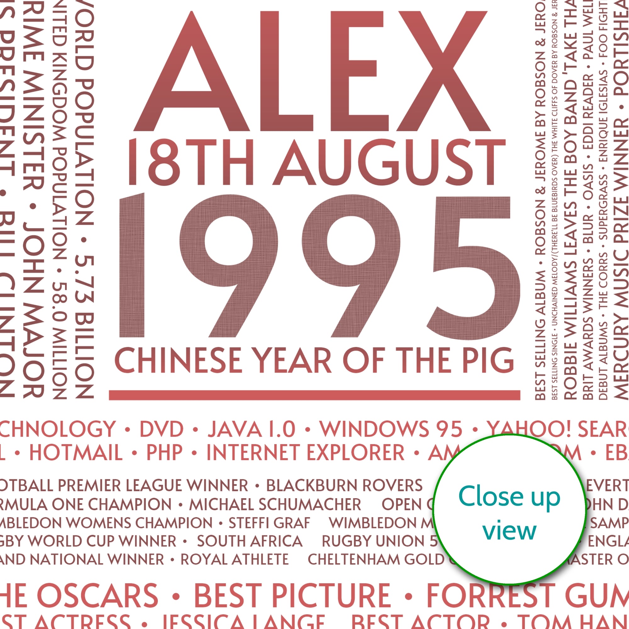 Personalised 1995 Facts Print UK