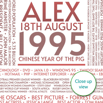Personalised 1995 Facts Print UK