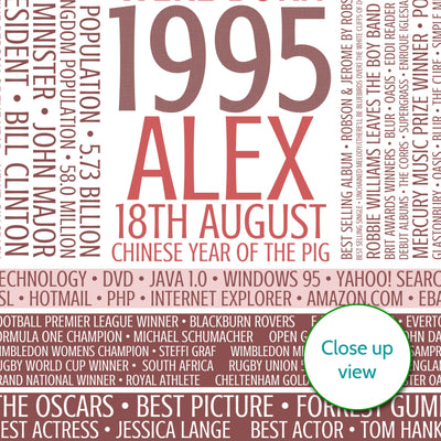 Personalised Born In 1995 Facts Print UK