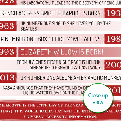Personalised 1993 Day You Were Born Facts Print - personalised 1993 print - birthday gift idea