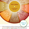Phil Collins Discography Print - Wheel
